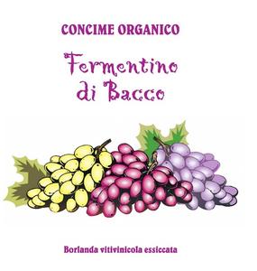 Fermentino di Bacco
