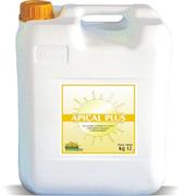 APICAL PLUS